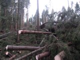 Nach Orkan Friederike - Uslarer Strasse (7)